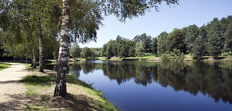 Residence Le Domaine du Bosquet - Vacancéole - Egletons - Outdoor activities