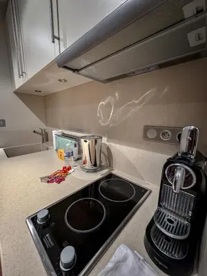 Cuisine ou kitchenette dans l'établissement VILLA FLEURY - APPART'HÔTEL DE STANDING