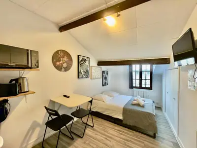 Télévision ou salle de divertissement dans l'établissement «Studio 2» rue Huchette - DABNB