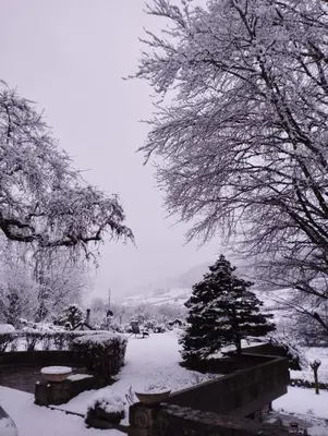 L'établissement Chambre d'hôte dans le Cantal vallée de la Maronne en hiver