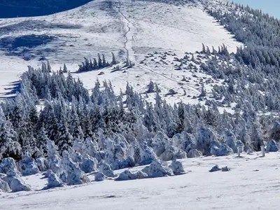L'établissement Appartement skis aux pieds, F2+Cabine au 20ème étage - FR-1-814-25 en hiver