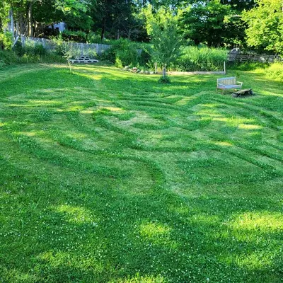 Jardin de l'établissement Gîte Terre - 1-4 pers, à 20 mins de Vulcania et du Puy-de-Dôme, 35 mins du Sancy