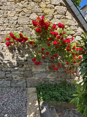Jardin de l'établissement F2 Pavot