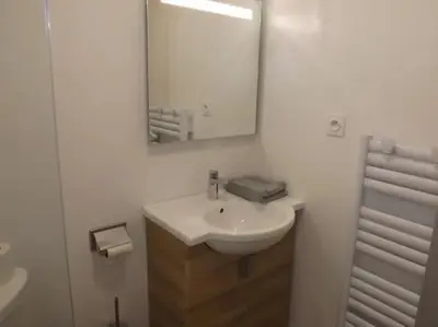 Salle de bains dans l'établissement Gite 8 Vacances en Auvergne Gîte au Puy Mary avec Activités de Plein Air