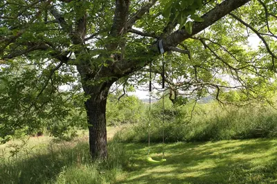 Paysage naturel près de la maison de vacances