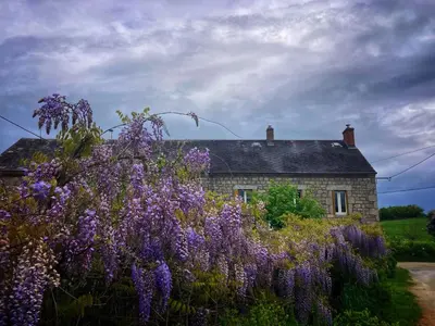 Jardin de l'établissement Vakantiehuis in groene oase