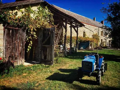 Jardin de l'établissement Vakantiehuis in groene oase