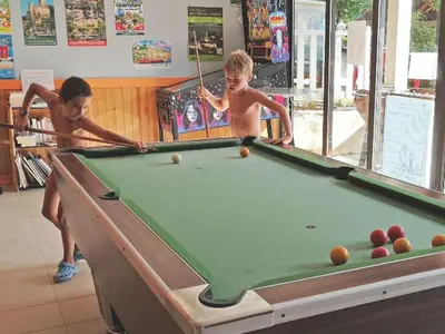 Clients de l'établissement Mobil-home 4 pers, Terrasse - API-1-52-470