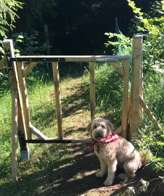 Animal ou animaux domestique(s) séjournant avec des clients dans l'établissement Maison van Stijn, Gite du Bois I & Gite du Bois II