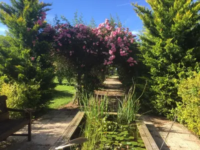 Jardin de l'établissement The Cottage