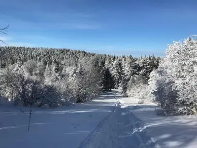L'établissement Studio confortable 4 pers au Mont-Dore - FR-1-608-148 en hiver