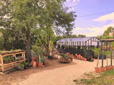 Jardin de l'établissement Le Cactus Orange Appartement 2 à 4 personnes avec entrée indépendante