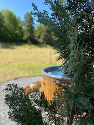 Jardin de l'établissement Yourte ,volcans,randonnées,lacs,quiétude