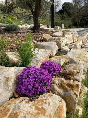 Jardin de l'établissement La Nature des Sens - Gîte les Cèdres